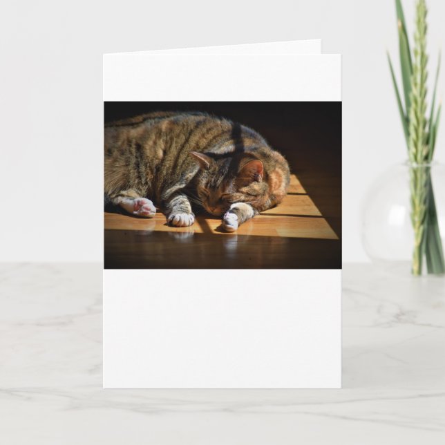 Langsame Tage, Karte (Vorderseite)