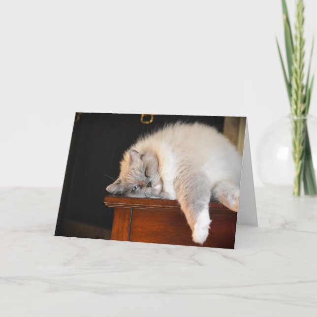 Langsame Tage, Karte (Vorderseite)