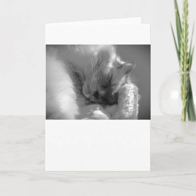 Langsame Tage, Karte (Vorderseite)