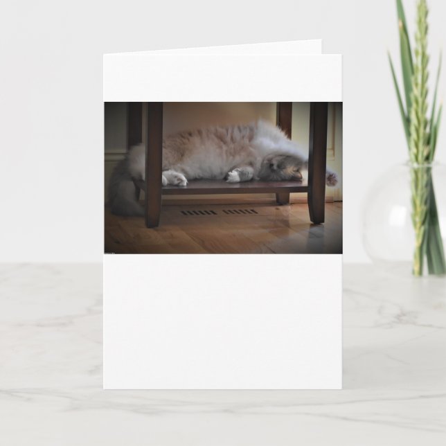 Langsame Tage, Karte (Vorderseite)