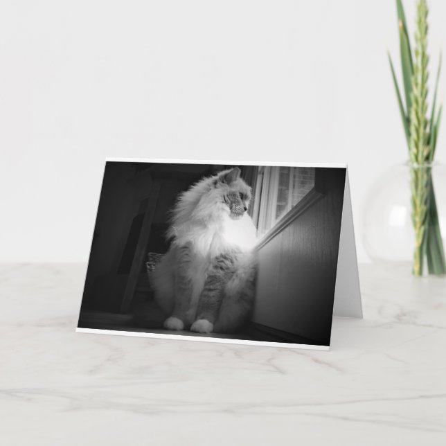 Langsame Tage, Karte (Vorderseite)