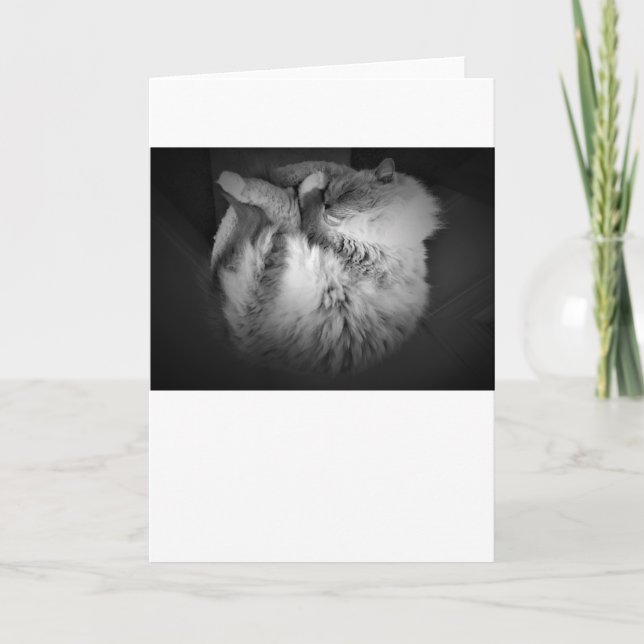 Langsame Tage, Karte (Vorderseite)