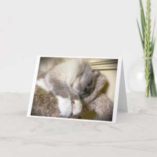 Langsame Tage, Karte