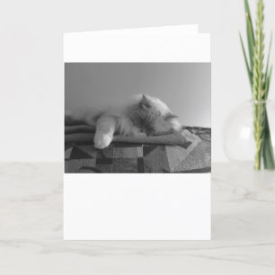 Langsame Tage, Karte