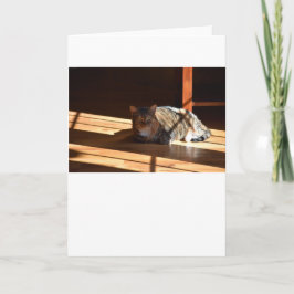 Langsame Tage, Karte