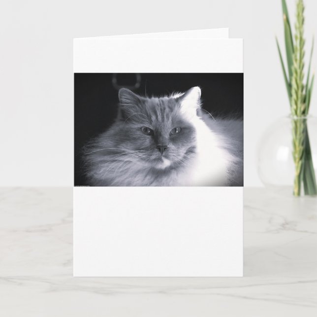 Langsame Tage, Karte (Vorderseite)