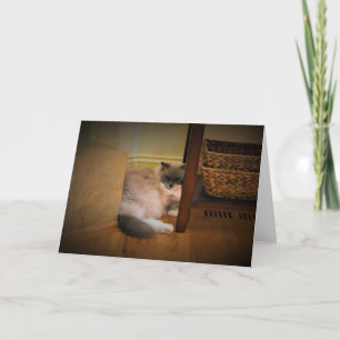 Langsame Tage, Karte