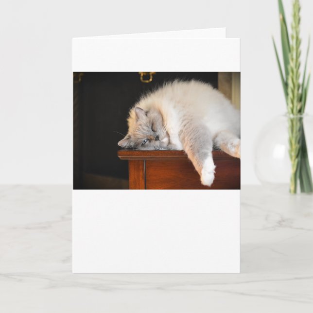 Langsame Tage, Karte (Vorderseite)