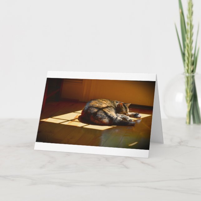 Langsame Tage, Karte (Vorderseite)