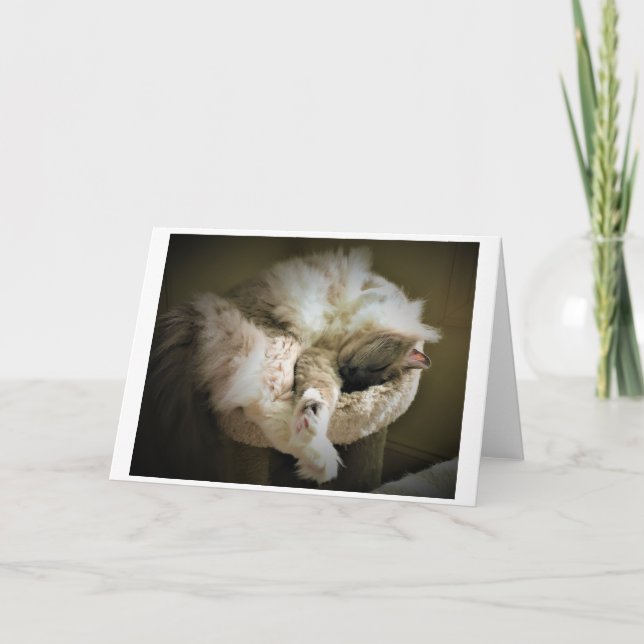 Langsame Tage, Karte (Vorderseite)