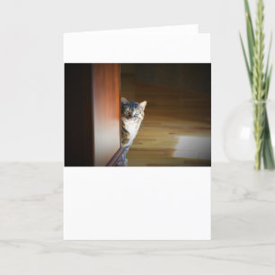 Langsame Tage, Karte