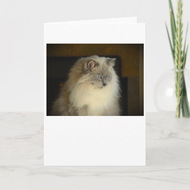 Langsame Tage, Karte (Vorderseite)