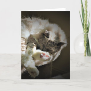 Langsame Tage, Karte