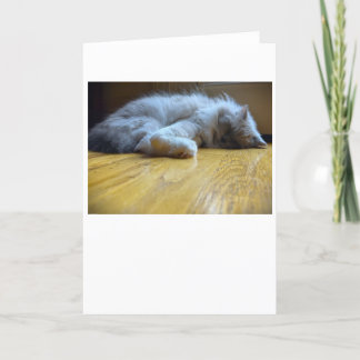 Langsame Tage, Karte