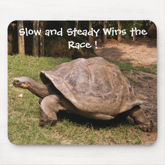 Langsame und stabile Schildkröte-Mausunterlage Mousepad (Vorne)