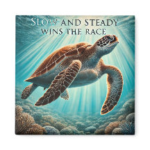 Langsames und stetiges Schildkrötenmagnet