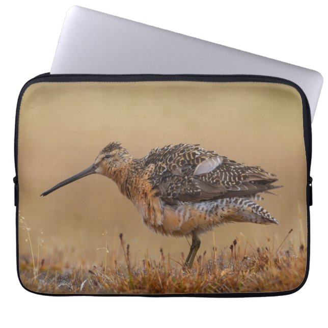 Langschnabel-Dowitcher Laptopschutzhülle (Vorderseite)