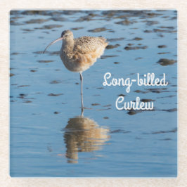 Langschnabel Glasuntersetzer