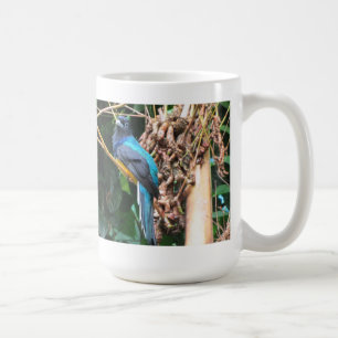 Langschwanz-Blau-Vogel Tasse