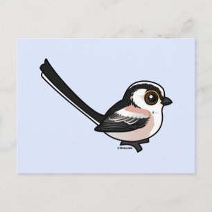 Langschwanz Postkarte