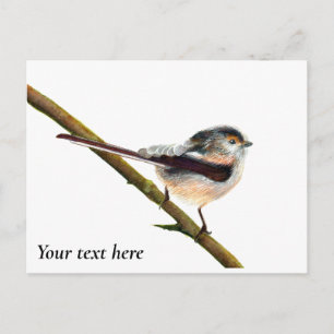 Langschwanzfarbene Tit Bird Wasserfarbe Malerei Postkarte