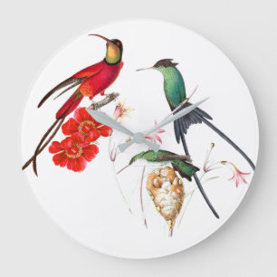 Langschwanzkolibri-Vögel Florale Wanduhr