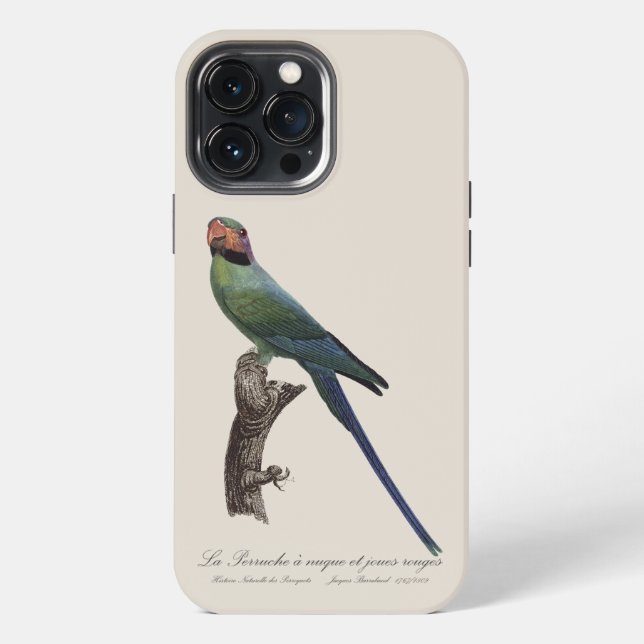 Langschwanzsittich, Psittacula Longicauda iPhone Hülle (Rückseite)