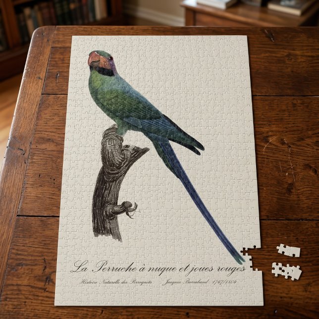 Langschwanzsittich, Psittacula Longicauda Puzzle (Long-Tailed Parakeet, Psittacula Longicauda. Jigsaw Puzzle)