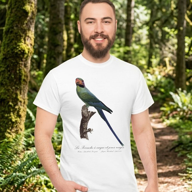Langschwanzsittich, Psittacula Longicauda T-Shirt (Long-Tailed Parakeet, Psittacula Longicauda. Men Basic White T-Shirt)