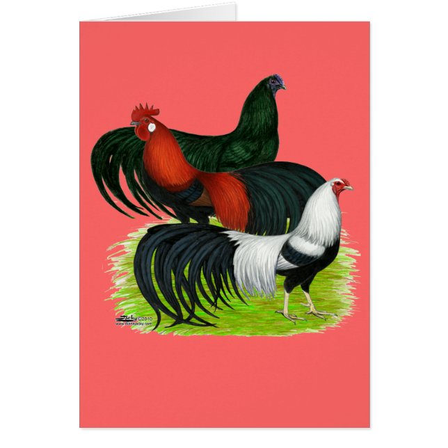 Langschwanztrio (Vorne)