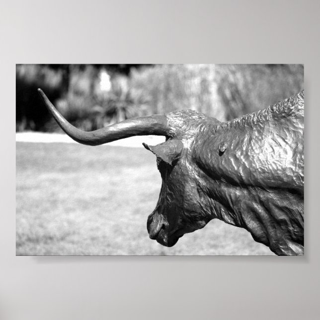 Längsprofil Poster (Vorne)