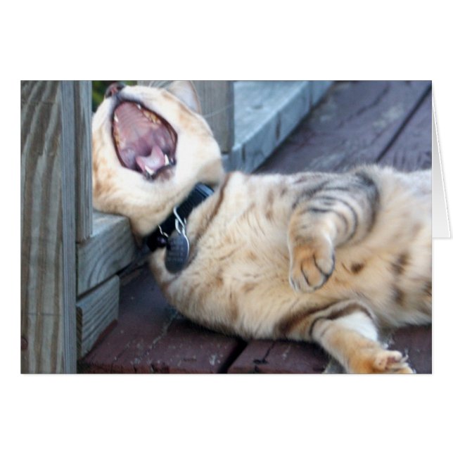 Langweilig! (Vorderseite (Horizontal))