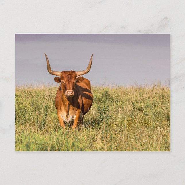 Langweilig Stehend in einer Feldpostkarte Postkarte (Vorderseite)