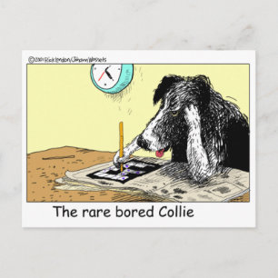 Langweilige Border Collie Lustige Geschenke T-Shir Postkarte