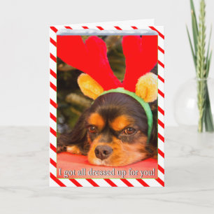 Langweiliger King Charles Spaniel-Rentier-Weihnach Feiertagskarte