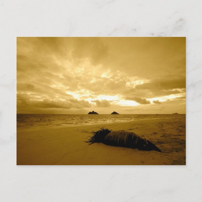 Lanikai Sunrise Postkarte (Vorderseite)