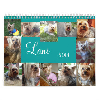 Lanis 2014 Kalender