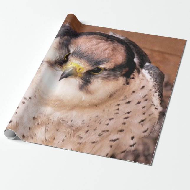 LANNER FALCON GESCHENKPAPIER (Ungerollt)