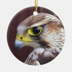 Lanner Falcon Keramikornament