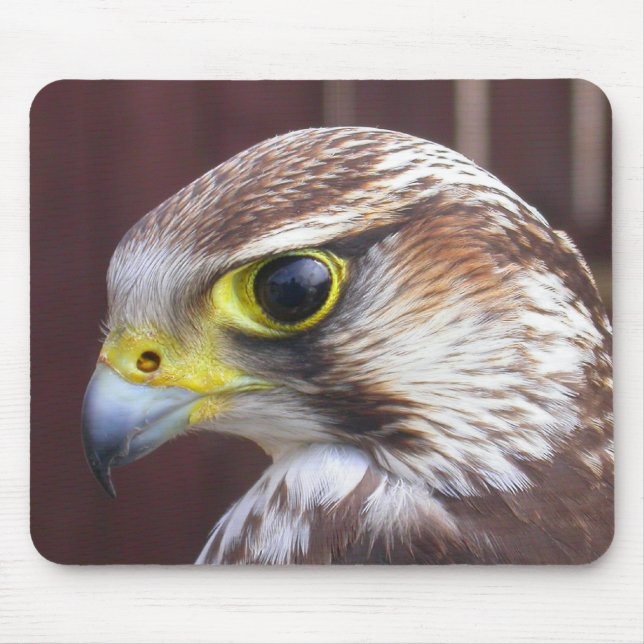 Lanner Falcon Mousepad (Vorne)