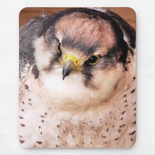 LANNER FALCON MOUSEPAD (Vorne)
