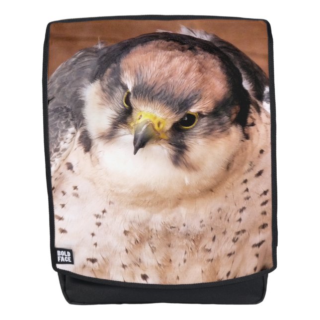 LANNER FALCON RUCKSACK (Vorderseite)