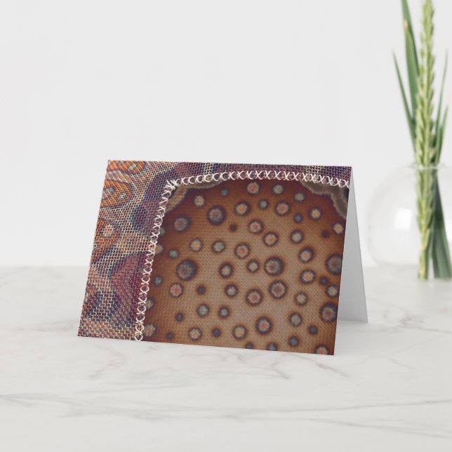 Lanny Bergner, Sheltering (Vorderseite)