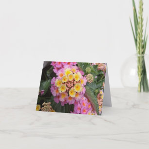Lantana Fine Art Fotografie Klappkarte Dankeskarte
