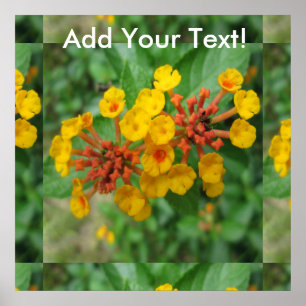 Lantana Garden Blumen Yellow Poster