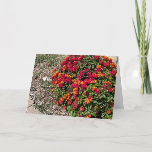 Lantana in Blume Dankeskarte (Vorderseite)