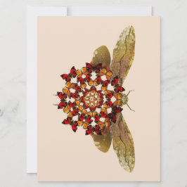 Lantern Fly and Butterfly Mandala Ankündigung