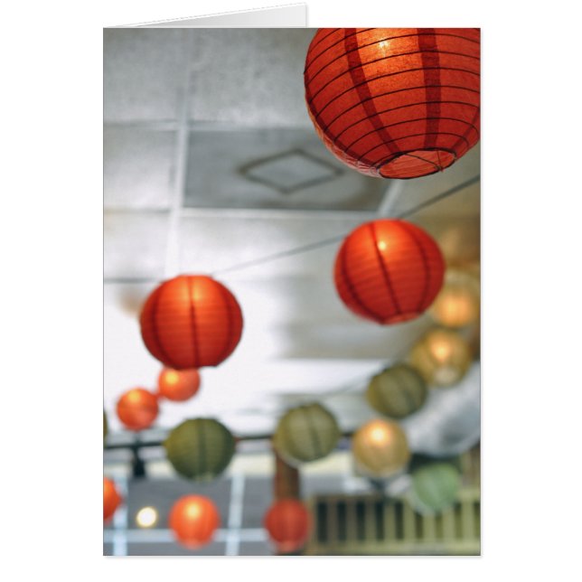 Lantern Lights (Vorne)