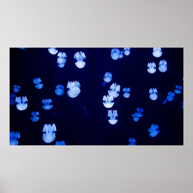 LANTERN POSTER (Vorne)