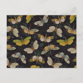 Lanternflies - Pyrops Candelaria und andere Planth Postkarte